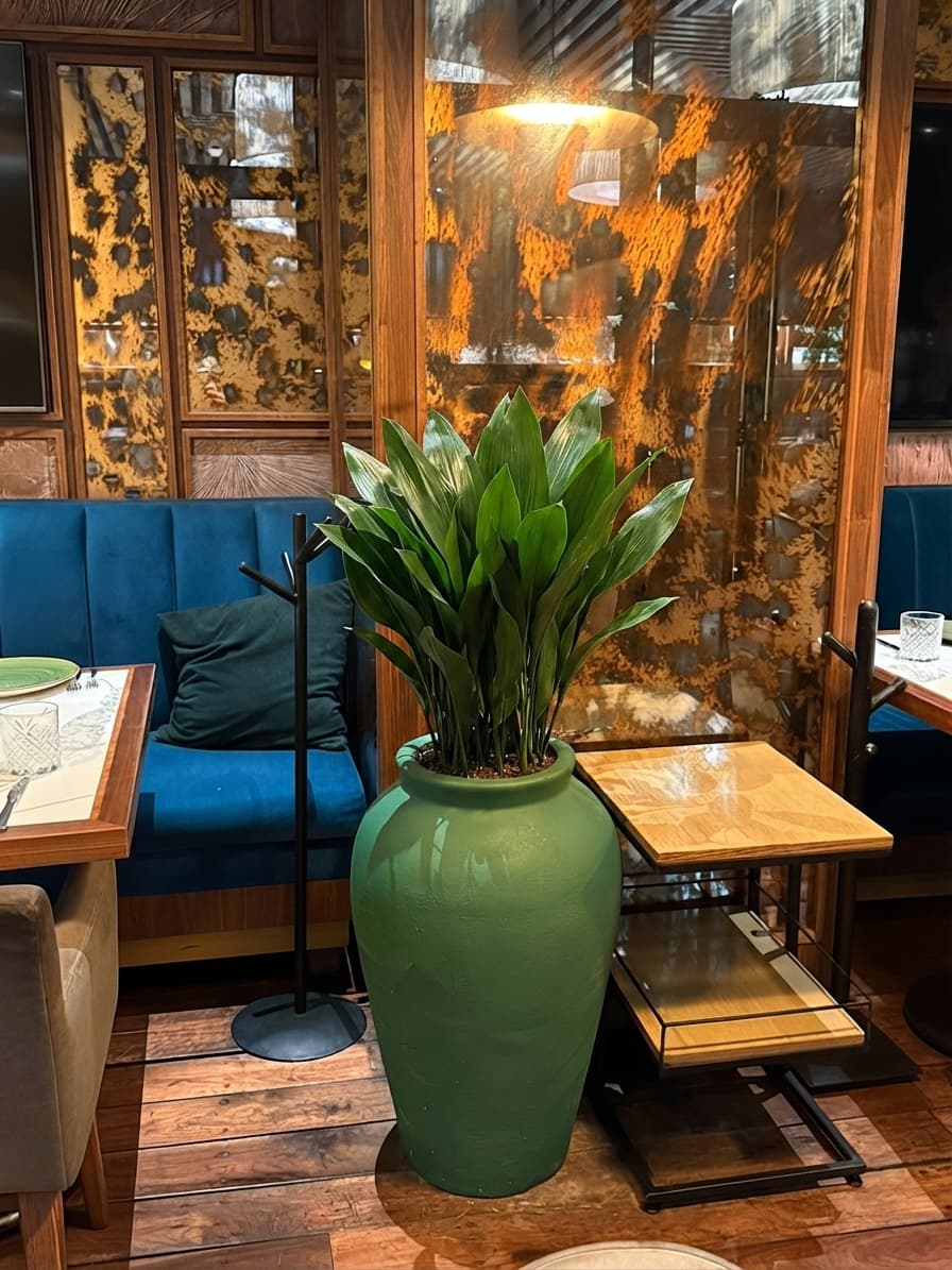 Cómo se vería — Booth azul