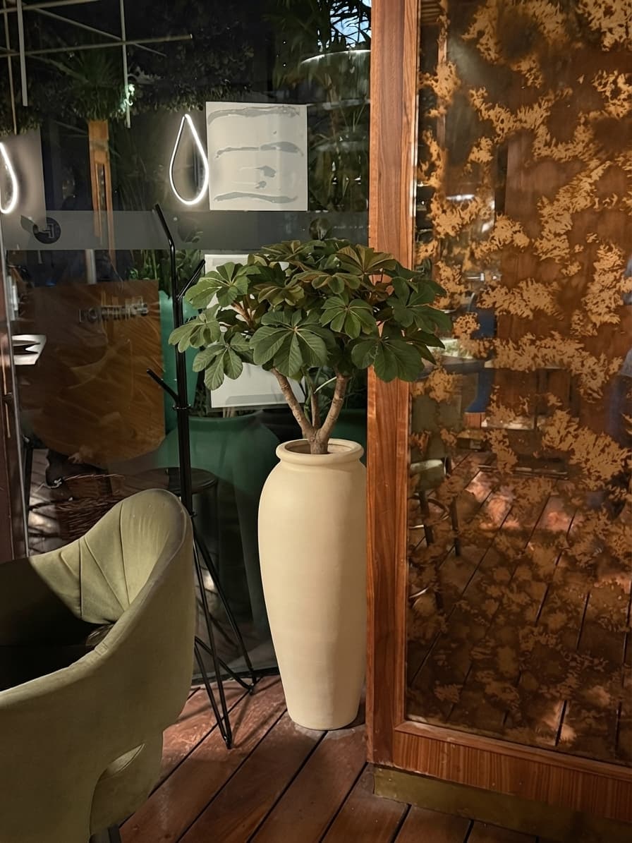 Cómo se vería — Terraza · duela