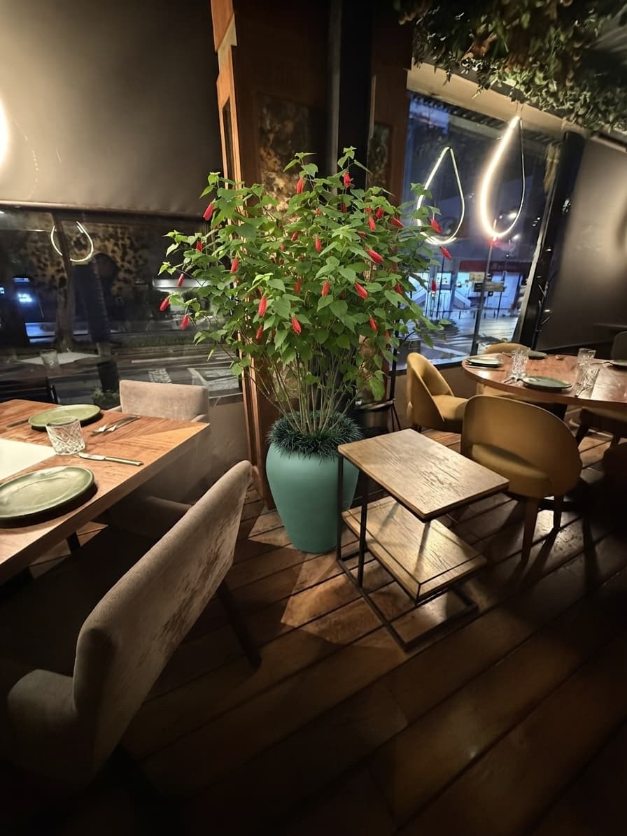 Cómo se vería — Terraza · ventanal