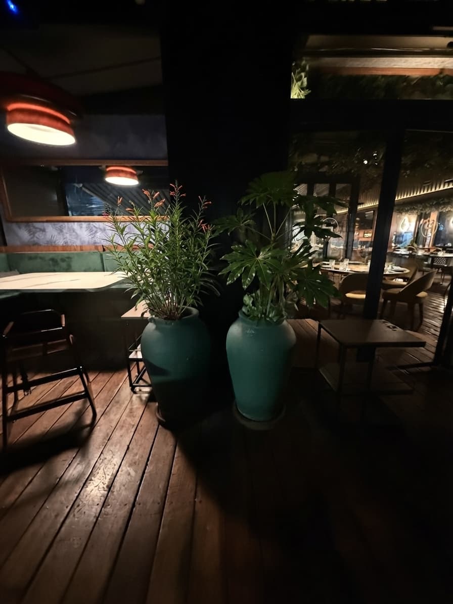 Cómo se vería — Terraza · columna (par 2)