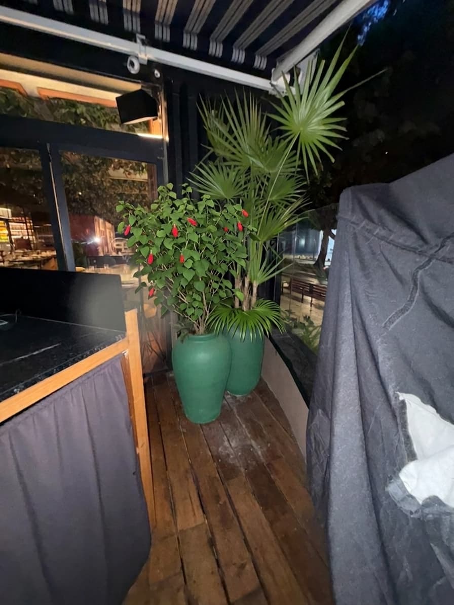 Cómo se vería — Banqueta (el jarrón de la palma de abanico)