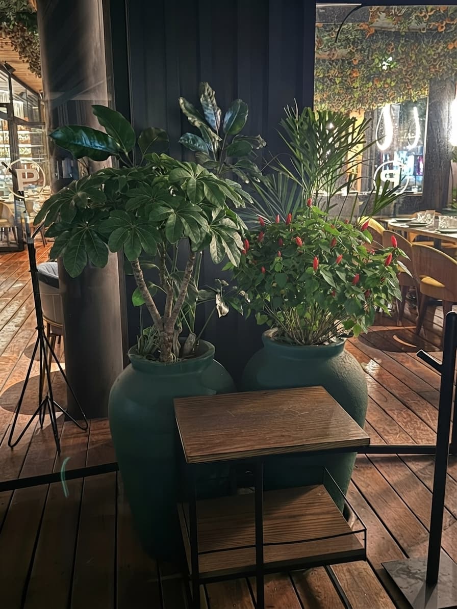 Cómo se vería — Terraza · columna (par 1) (el jarrón de la derecha)
